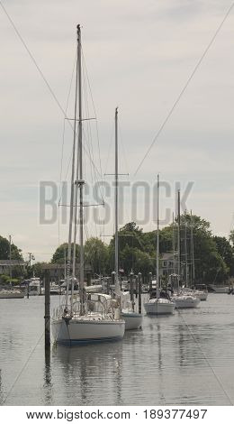 Sailboats line up at harbor in WickfordRhode Island