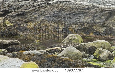 A tide pool has formed at low tide along the beach in Newport Rhode Isladn