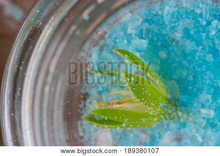 Spa beauty product. sea sult. shells and flowers