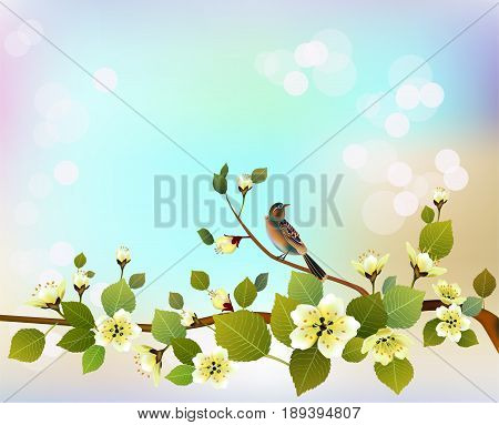 Nature background with blossom branch of pink sakura flowers. Vector template isolated