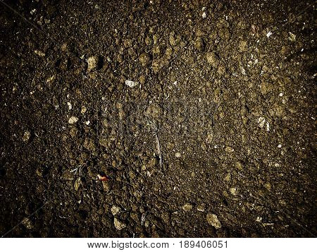 Soil, texture of the soil, abstract nature background, ground texture