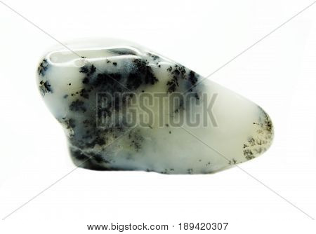moss agate chalcedony quartz semigem geological mineral isolated