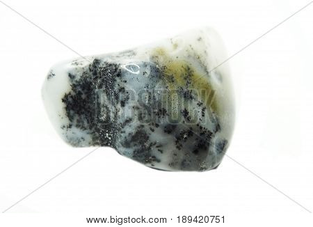 moss agate chalcedony quartz semigem geological mineral isolated