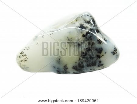 moss agate chalcedony quartz semigem geological mineral isolated