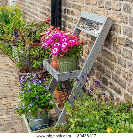 Square image of varied pots and plants in front of the facade of the historic beguinage in the Dutch of Breda North Brabant. It's a warm day in the spring season.
