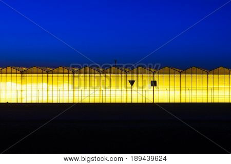 Greenhouse plant at night. Night landscape luminous glass construction. Silhouette of road signs on a background of a facade of a hothouse
