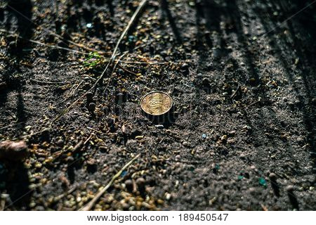 Coin of Ukrainian currency Hryvna on the soil in the summer sunset light.