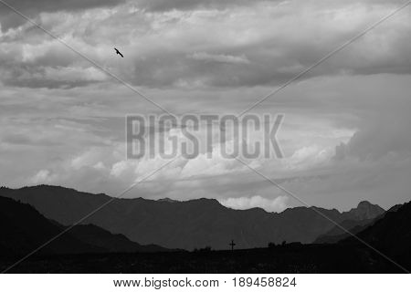 The photo of the landscape looks like a pencil drawing. Pitch Black crows flying over the field.