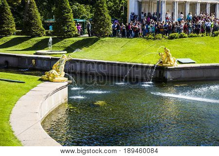 St Petersburg, Russia - August 2, 2015: Grand Cascade At Pertergof Palace.
