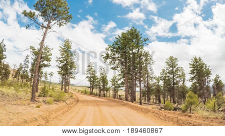 Dirt Road