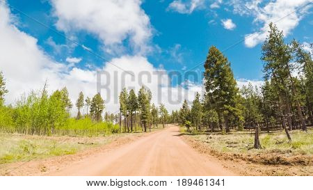 Dirt Road