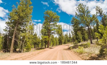 Dirt Road