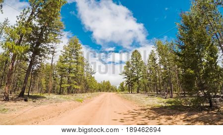 Dirt Road