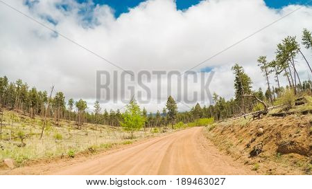 Dirt Road