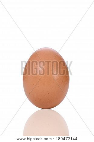 Egg isolated on white background with cilpping path.