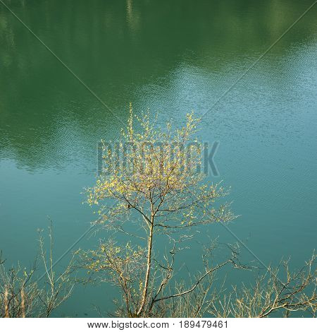 Beautiful Vibrant Landscape Image Of Old Clay Pit Quarry Lake With Unusual Colored Green Water