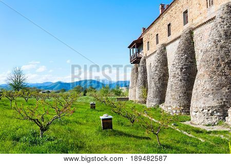 Alaverdi orthodox monastery in Kakheti region in Georgia and snow peaks of Caucasus mountains