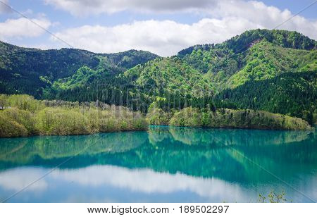 Reflection Lake With Pine Forest In Tohoku, Japan