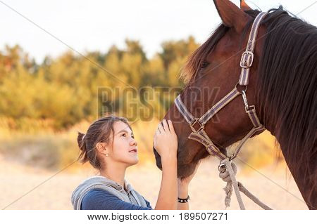 Young cheerful teenage girl stroking her big lovely horse's nose. Vibrant multicolored summertime outdoors horizontal image.