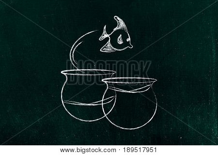 Fish Jumpying Out Of A Bowl With Less Water To One With More