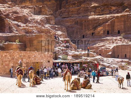 Petra Jordan - 9 March 2017: Camels in bedouin camp near ruins in Petra Jordan 9 March 2017