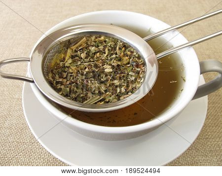 Loose healthy herbal tea in tea strainer