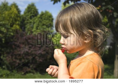 Bébé et groseille
