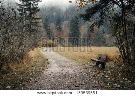 Fussen Bavaria Germany. A walking trail near Lake Schwansee to the autumn forest