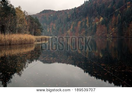 Fussen Bavaria Germany. Lake Schwansee surrounded by autumn forest