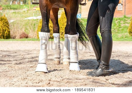 Horse legs in white bandages with riding leather horsewoman boots. Multicolored summertime outdoors.