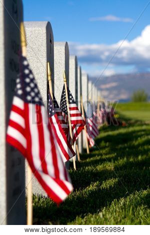 American flags next to head stone in cemetery