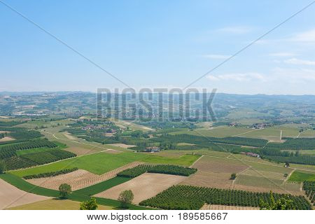 Landscape With Vineyards From Langhe,italian Agriculture