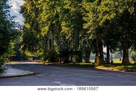 Longest European Linden Alley