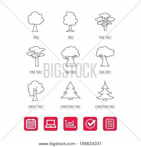 Pine tree, maple and oak icons. Christmas trees linear signs. Forest trees flat line icons. Report document, Graph chart and Calendar signs. Laptop and Check web icons. Vector