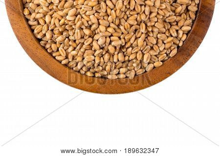 Wheat Grain In Bowl