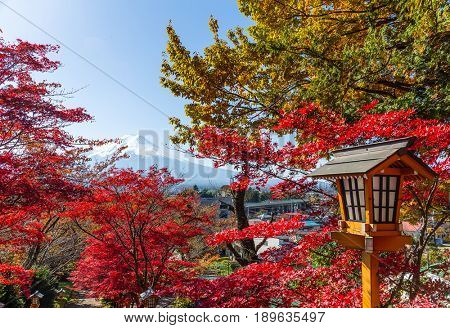Red maple tree and mount Fuji in Japan