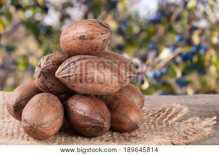 a bunch of pecan nuts on a wooden background with burlap and blurred garden background.