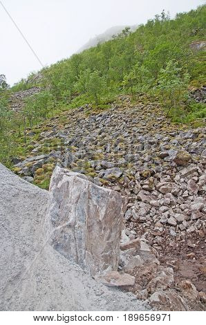 Rocky forest in fog. Scenic landscape in Bindal in Nordland Norway on a sunny summer day.
