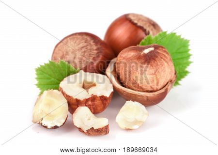 Hazelnuts with leaves isolated on white background.