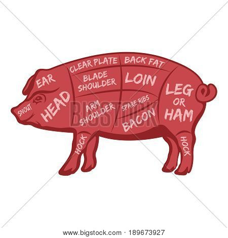 Cut of meat set. Poster Butcher diagram scheme and guide - Pork.