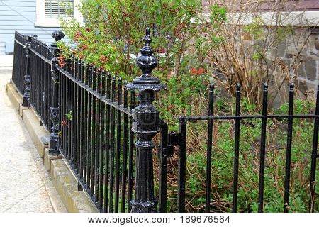 Length of black wrought iron fencing surrounding landscaped garden 
outside country home.