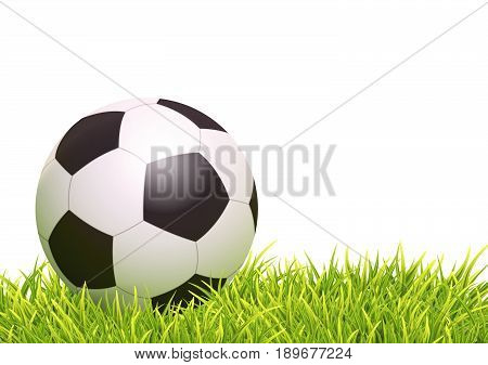 Classic Soccer Ball