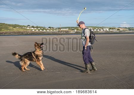 Man Throwing A Ball For His Dog On The Beach