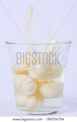 Pickled garlic with its preserved juice inside a glass.  White background