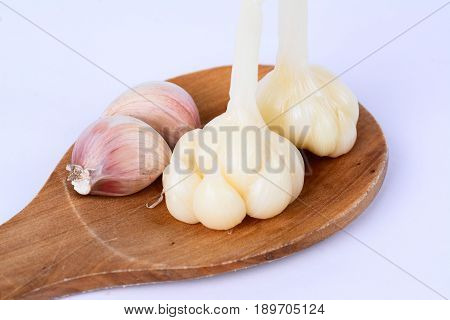 Pickeld garlics and fresh garlics on a wooden spatula. White background.