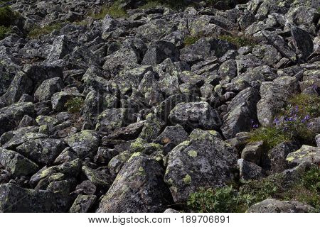 The Stone River. Kurumnik - A Gray Stone Placer Northern Urals. Russia.