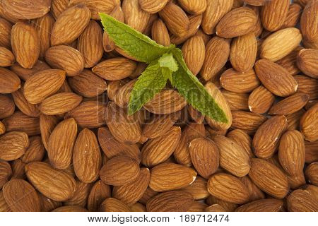 Peeled Almonds Closeup