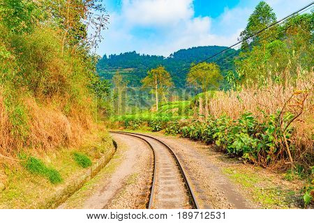 Steam narrow-gauge railway from Yuejin to Bagou in the jungle. Jiayang Mining Region. Sichuan province. China.