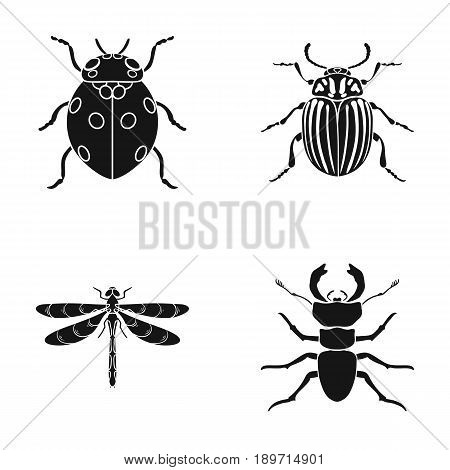 Insect, bug, beetle, paw .Insects set collection icons in black style vector symbol stock illustration .