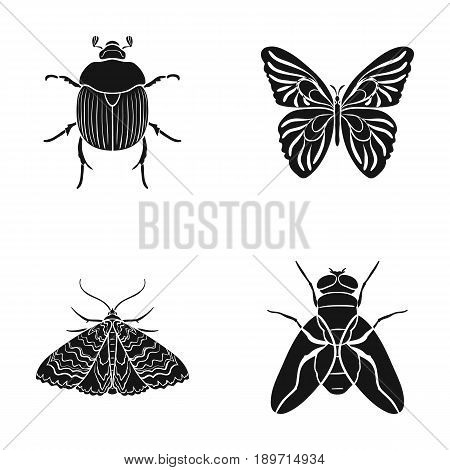 Wrecker, parasite, nature, butterfly .Insects set collection icons in black style vector symbol stock illustration .